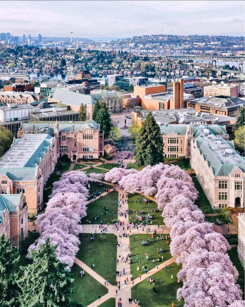 乔治华盛顿大学